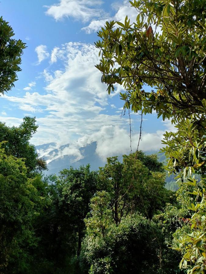 Chiraiyya Cottage Pangot Nainital Eksteriør bilde